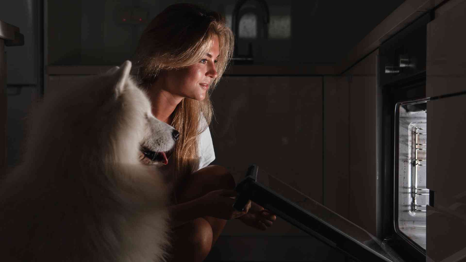 Menú semanal para peludos